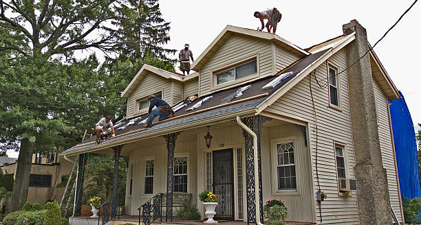 Best Roof Gutter Cleaning  in Miami, AZ